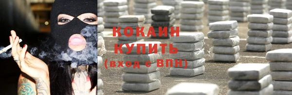 прущая мука Вяземский