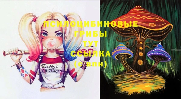 герыч Вязники